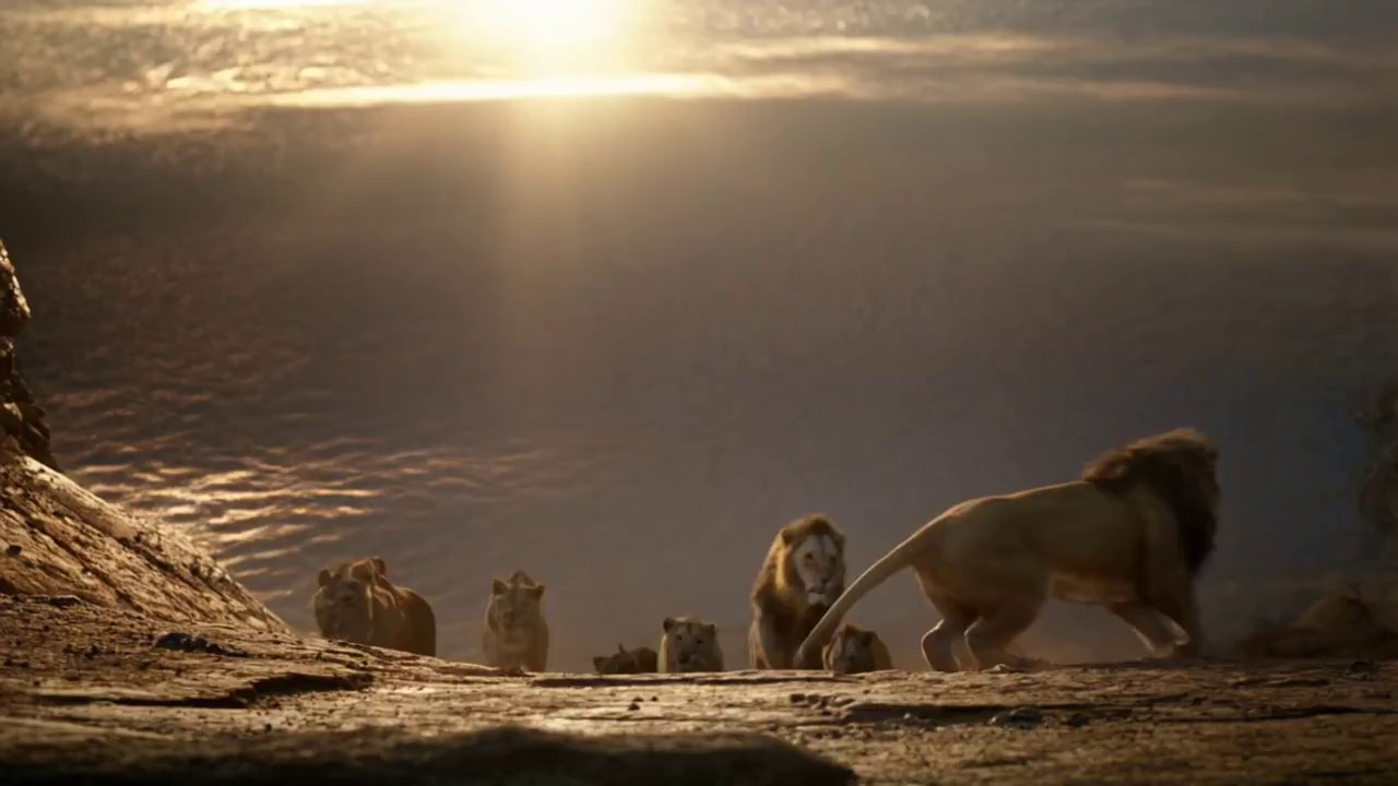 Primal Predator POV: Sun-Baked Ground Encounter