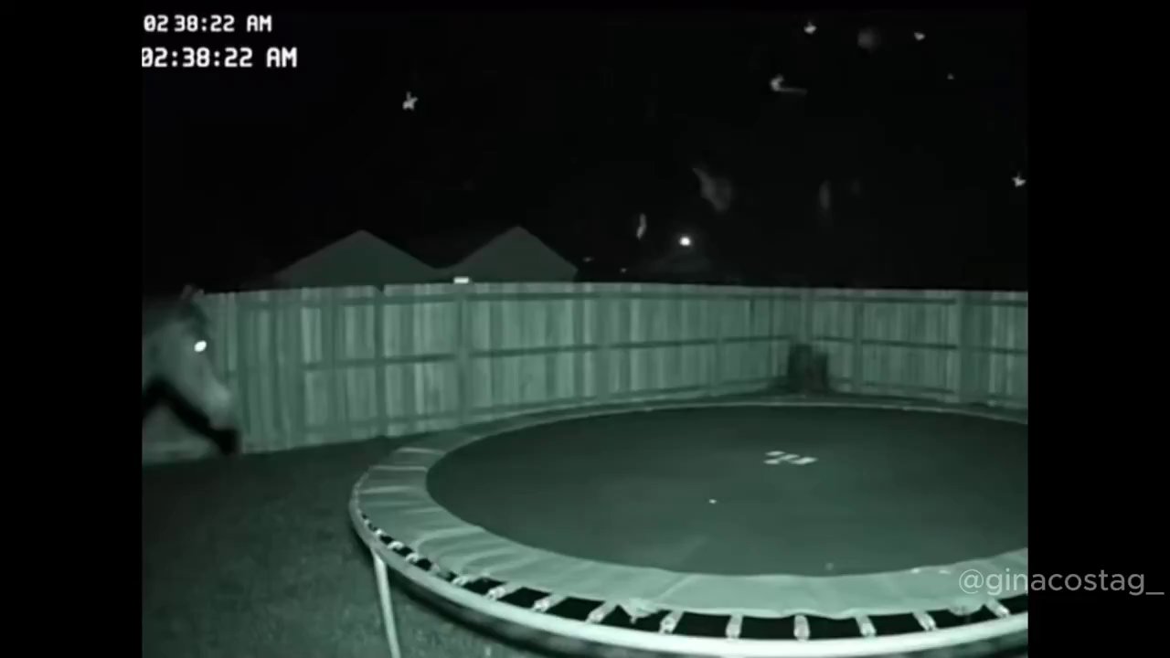 Epic Trampoline Fails: Hilarious Bounces Gone Wrong!
