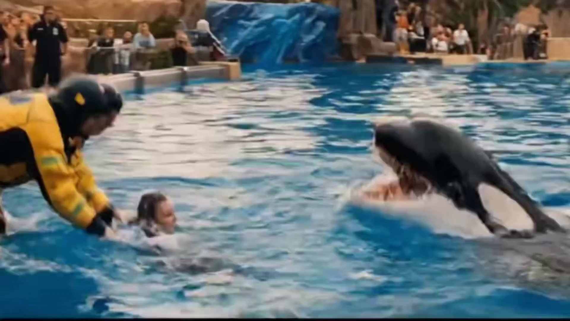 Viral AI Dolphin Swimmer Attack Videos