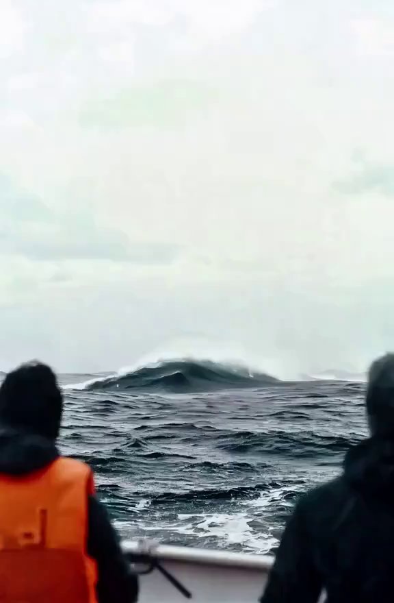 World's Biggest Shark: Deep Ocean Encounter