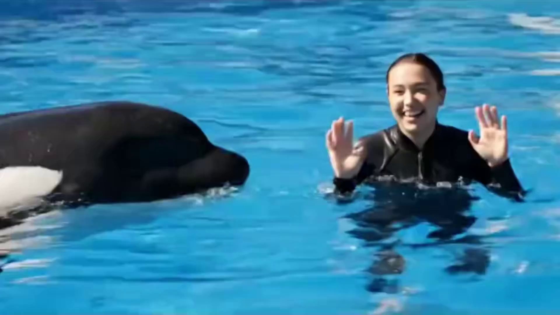 Chillin' Dolphin Vibes: Relaxing Ocean Serenity