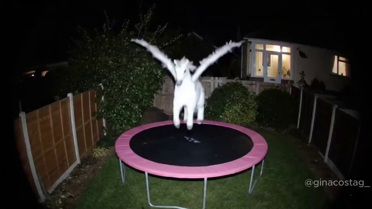 Trampoline Fun: Dynamic Jumps & Play
