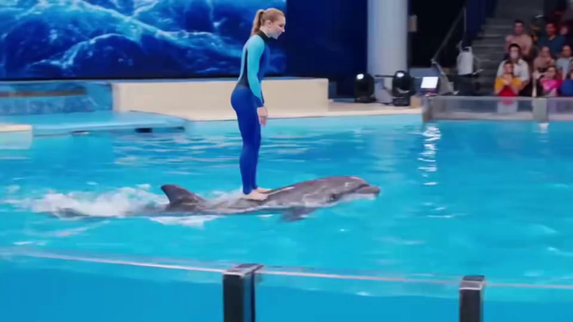 Fantasy Dolphin Rider: A Playful Aquatic Adventure