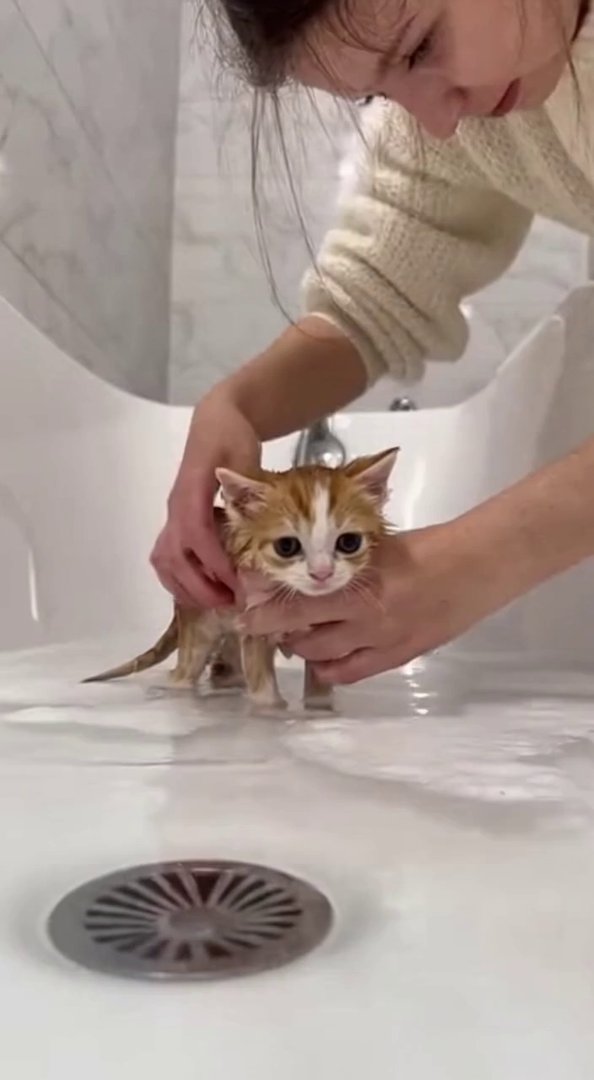 [Sora 2] **« Créer une vidéo ultra-réaliste en 4K dans une salle de bain lumineuse et moderne.
Une femme lav... - Veo 3 AI video prompt thumbnail