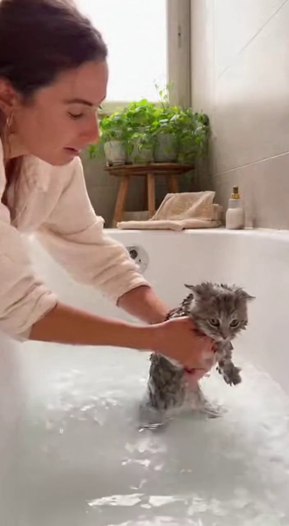 [Sora 2] ⸻

**« Créer une vidéo ultra-réaliste en 4K d’une femme qui lave un vrai chaton dans une baignoire... - Veo 3 AI video prompt thumbnail