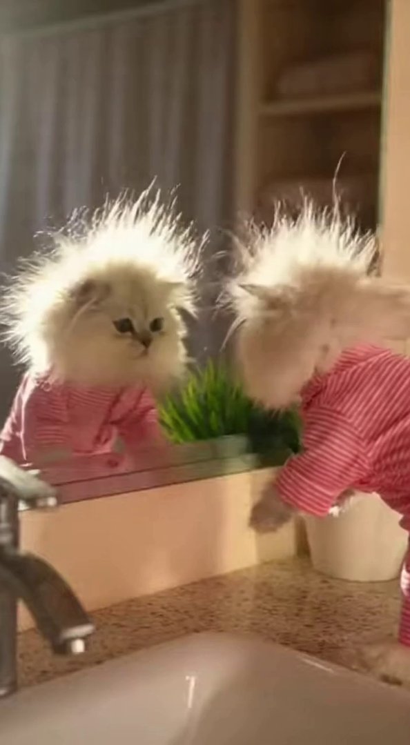 [Sora 2] Un petit chat ultra mignon entre dans sa salle de bain tôt le matin. Il porte un pyjama rose à rayur... - Veo 3 AI video prompt thumbnail