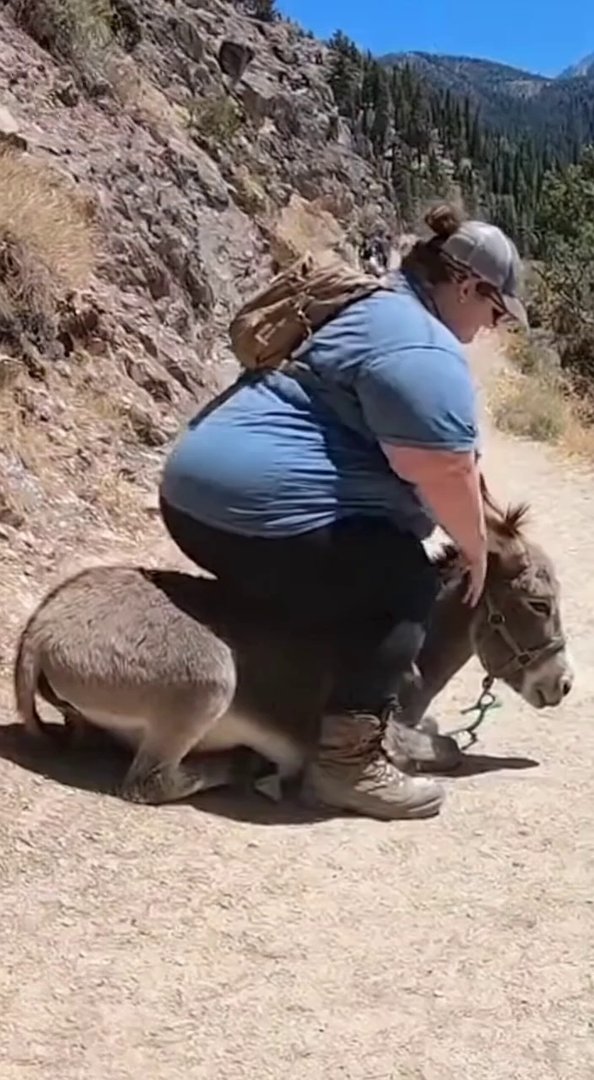 [Sora 2] {
  "prompt": "A hyperrealistic 9:16 vertical handheld smartphone video recorded in a rocky mountai... - Veo 3 AI video prompt thumbnail