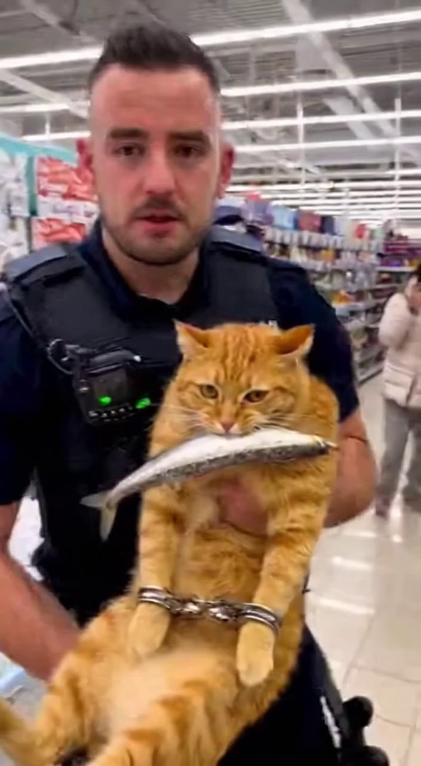 [Sora 2] Vidéo ultra réaliste filmée au smartphone dans un supermarché. Un policier en uniforme tient un gros... - Veo 3 AI video prompt thumbnail