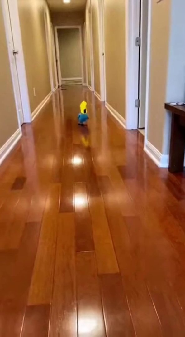 [Sora 2] {
  "prompt": "Create a 10-second chaotic, funny home-recorded video of a neon-blue cockatoo with a... - Veo 3 AI video prompt thumbnail