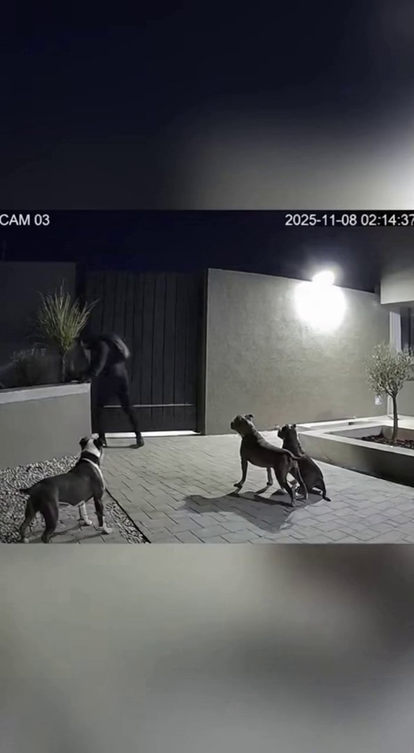 [Sora 2] Scène nocturne, prise par une caméra de sécurité dans la cour d’une maison moderne. Un cambrioleur c... - Veo 3 AI video prompt thumbnail