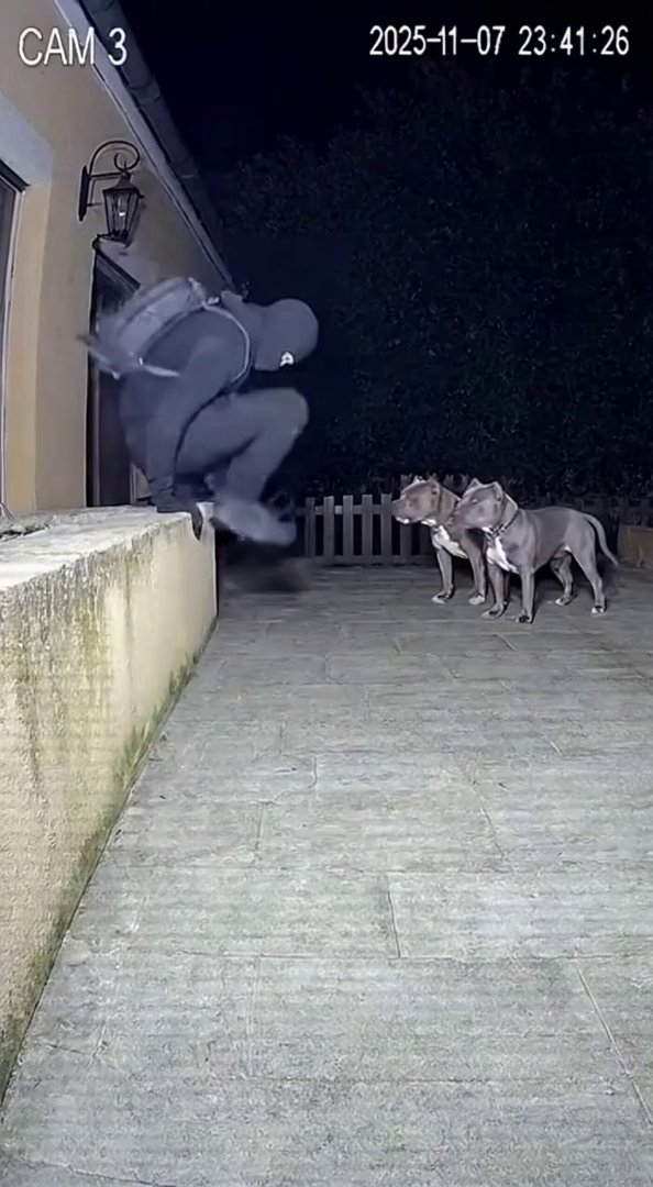 [Sora 2] Scène nocturne filmée par une caméra de sécurité dans la cour d’une maison. On voit un cambrioleur c... - Veo 3 AI video prompt thumbnail