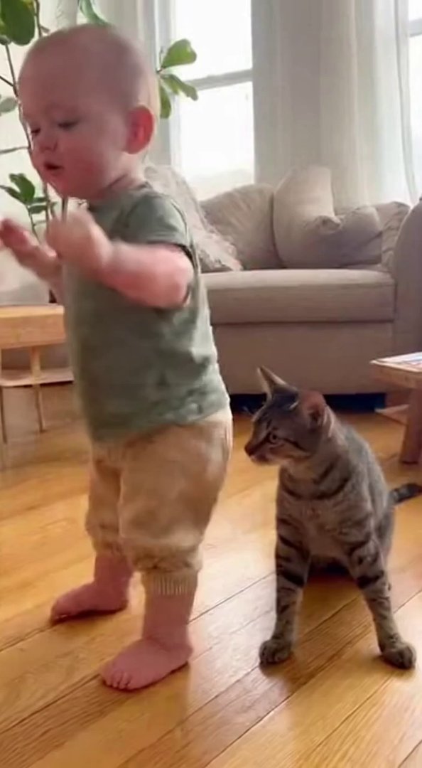 [Sora 2] Vidéo ultra photoréaliste, style prise de vue réelle, aucune stylisation, aucun rendu 3D, aucun effe... - Veo 3 AI video prompt thumbnail