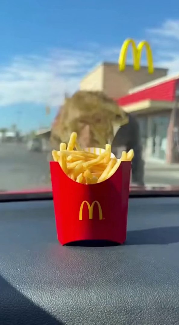 [Sora 2] {
  "title": "Monkey vs McDonald's Fries 🍟🙈",
  "duration": "10s",
  "reference_image": "/mnt/dat... - Veo 3 AI video prompt thumbnail