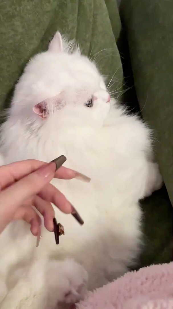 Neuralink Cat: Mittens Takes Over Smart Home