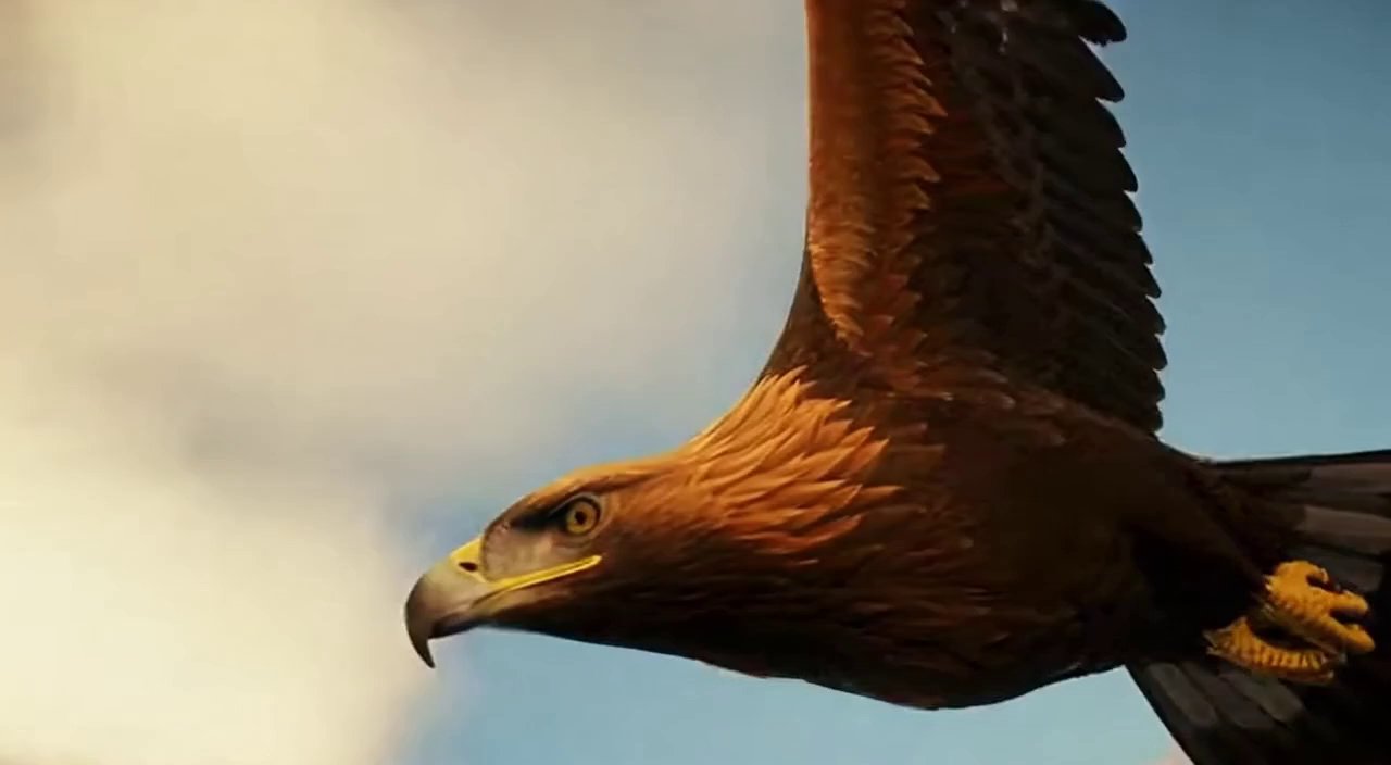 [Sora 2] Bird flying in the sky